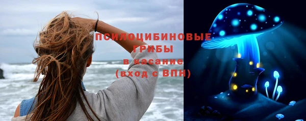 бошки Абаза