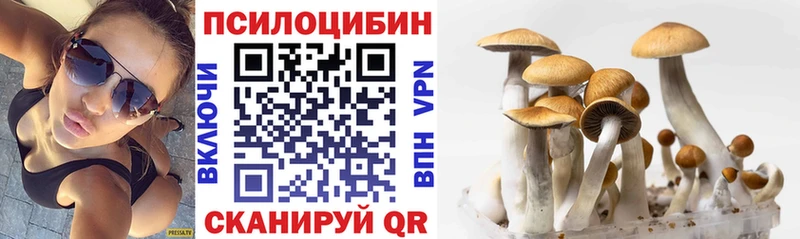 Псилоцибиновые грибы прущие грибы Нюрба