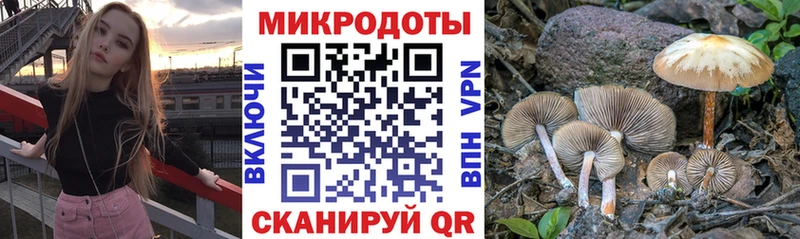 Псилоцибиновые грибы мухоморы  блэк спрут ссылки  Нюрба  закладка 
